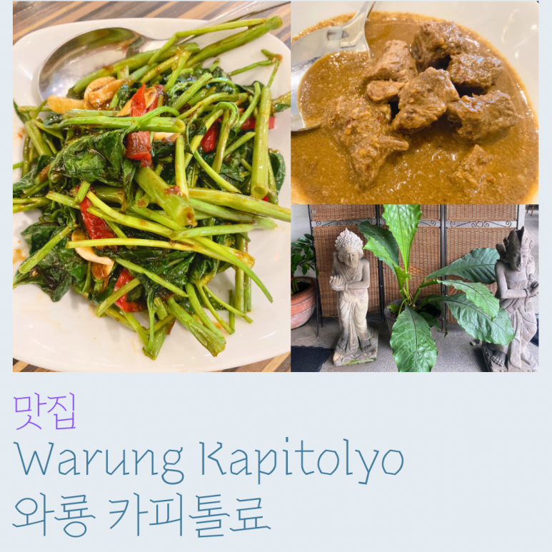 와룡인도네시아 이미지