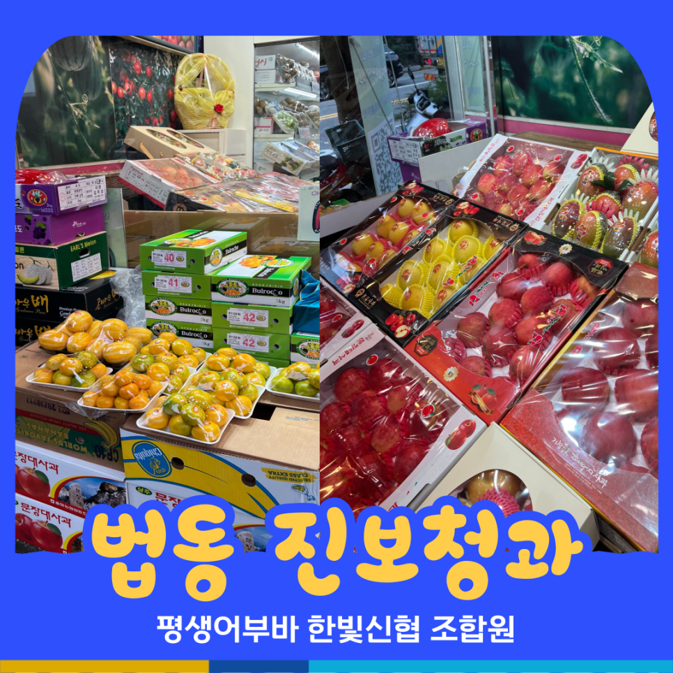 진보청과 이미지