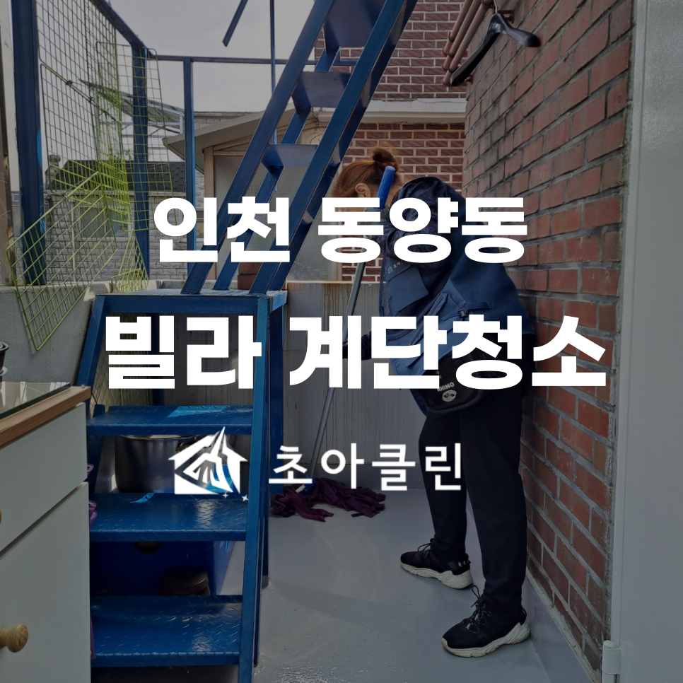 초아클린 이미지