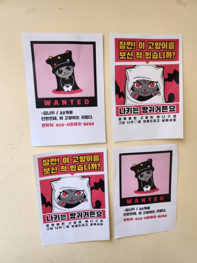 오엘에스 이미지