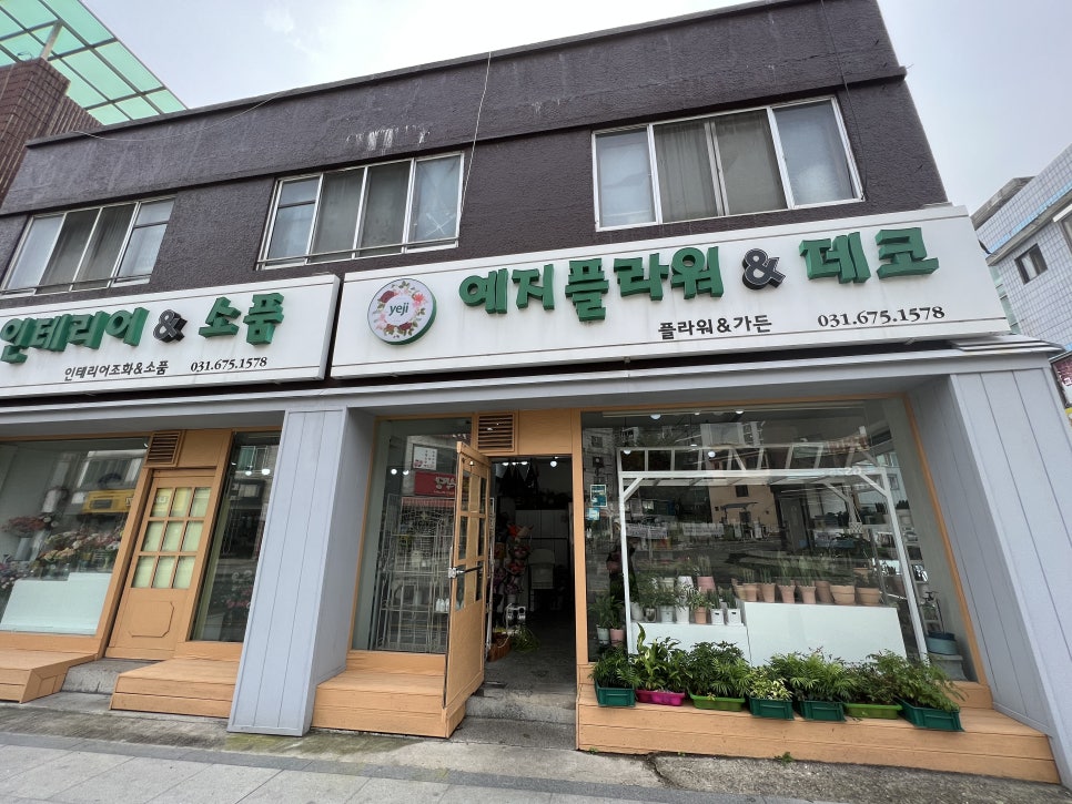 제부꽃집 이미지