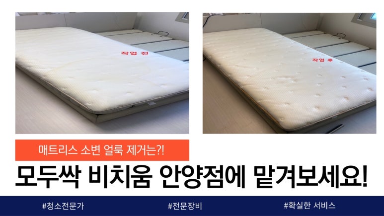 모두싹청소 이미지