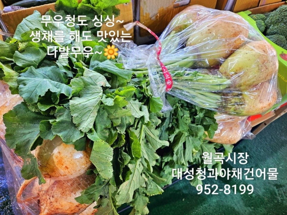대성청과 이미지