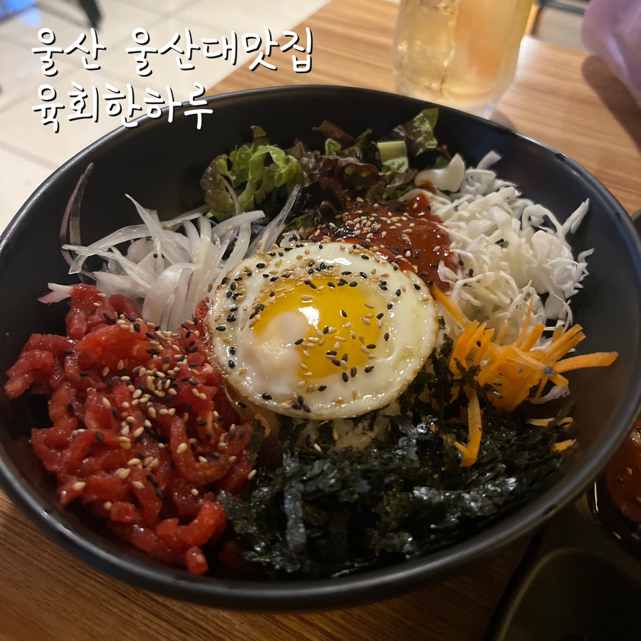 육회한하루 이미지
