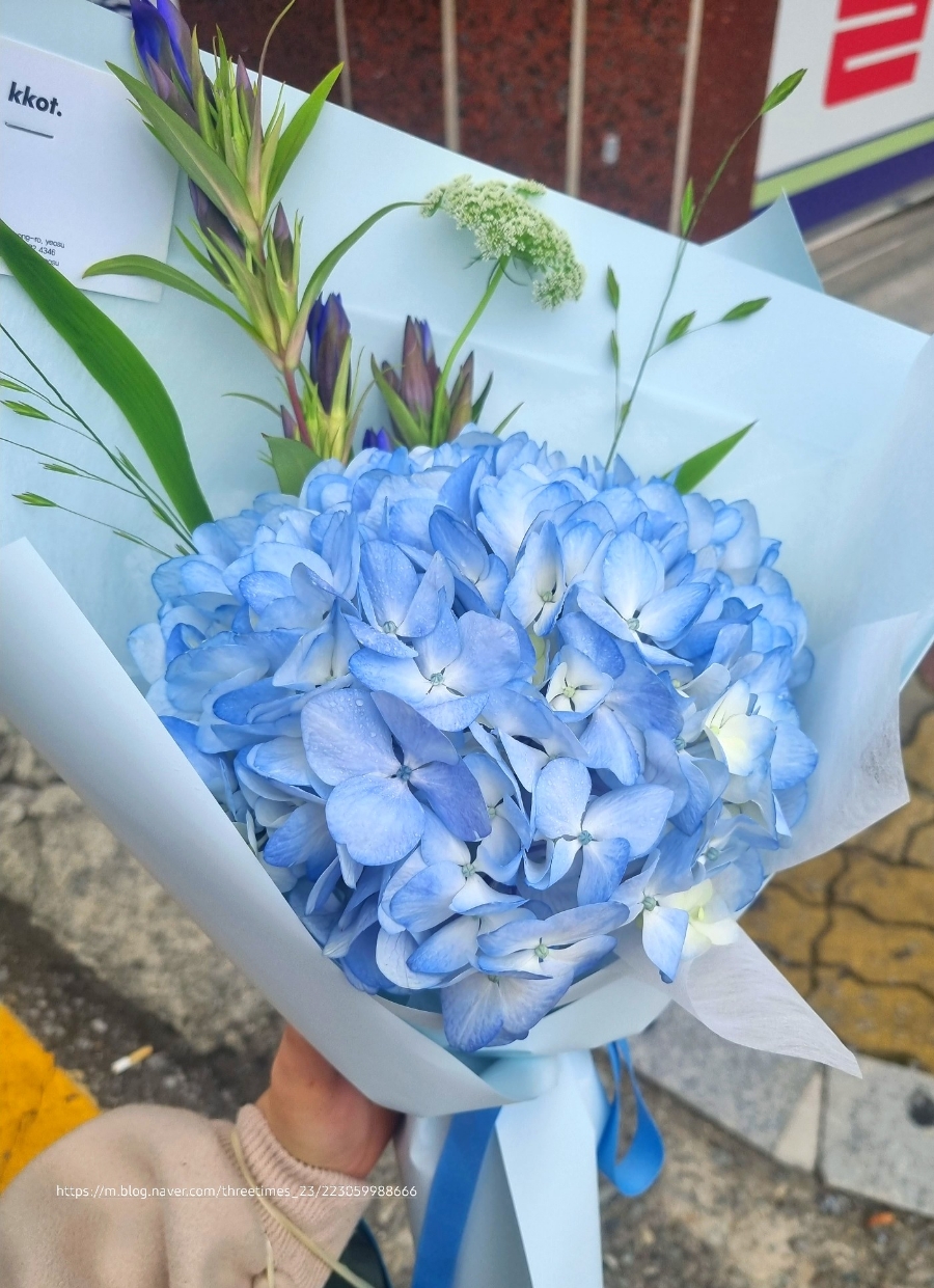 꽃나라플라워 이미지