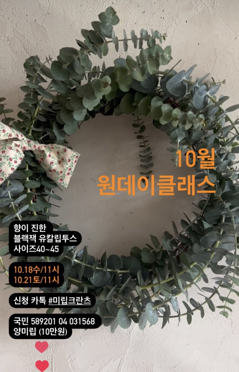 스튜디오미립크란츠 이미지