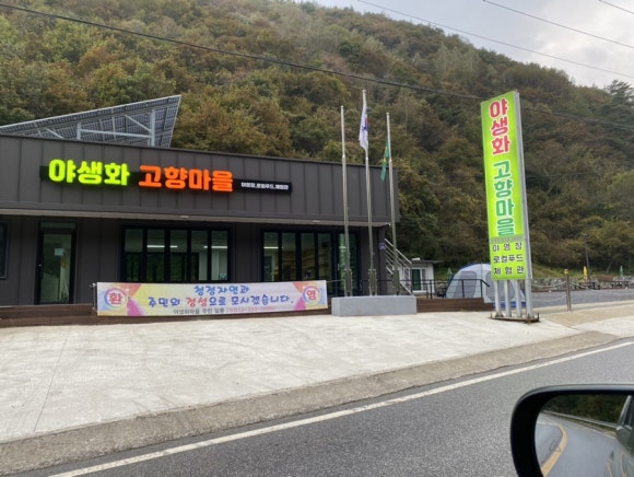 600마지기가는길야영장 이미지