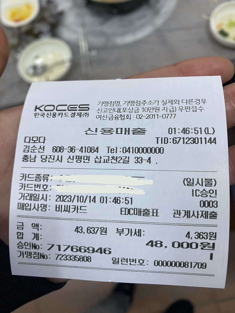 다모다 이미지