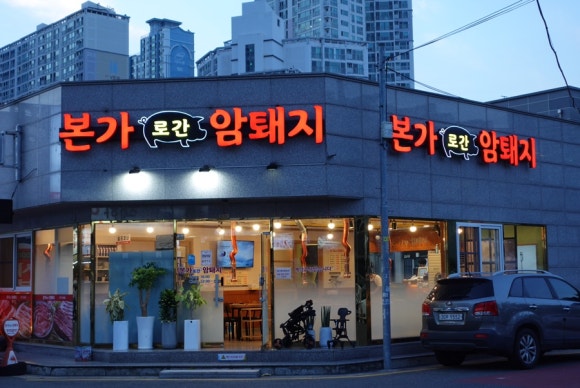본가로 간 암퇘지 이미지