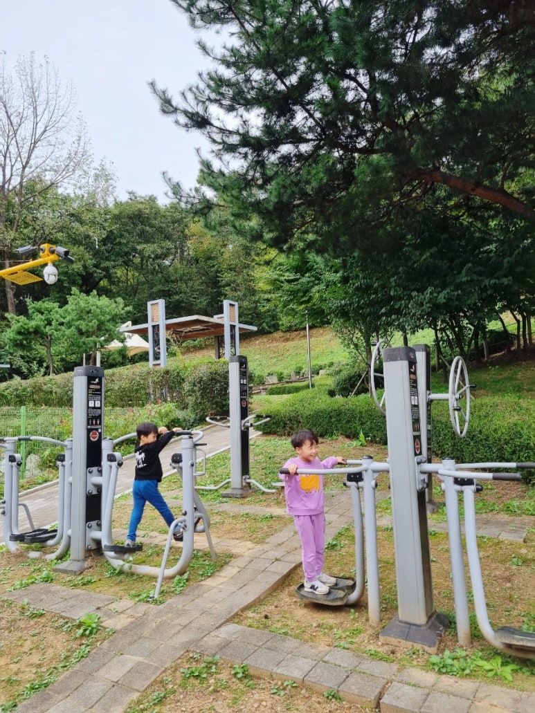 남양 유아숲체험원 이미지