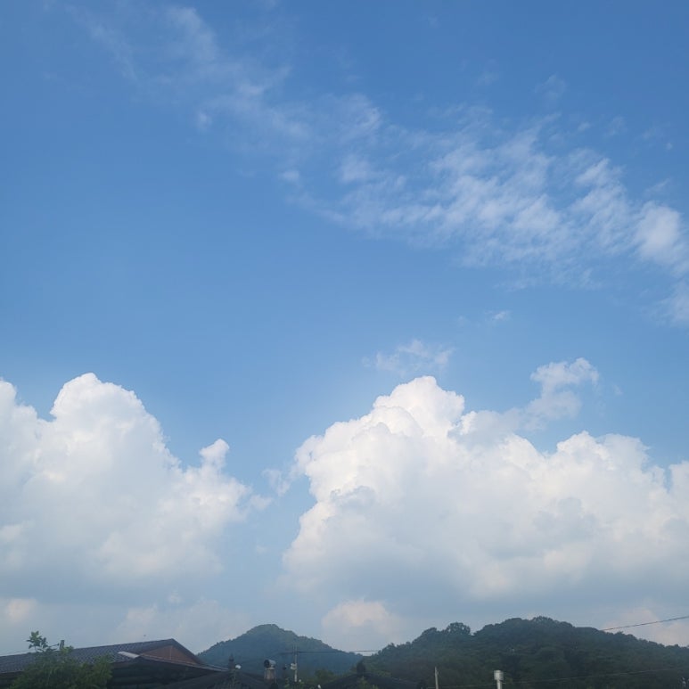 장성댐식당 이미지