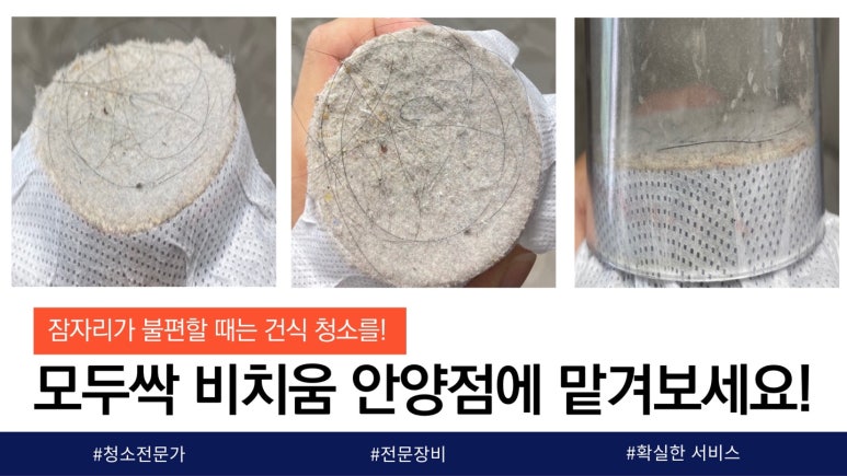 모두싹청소 이미지