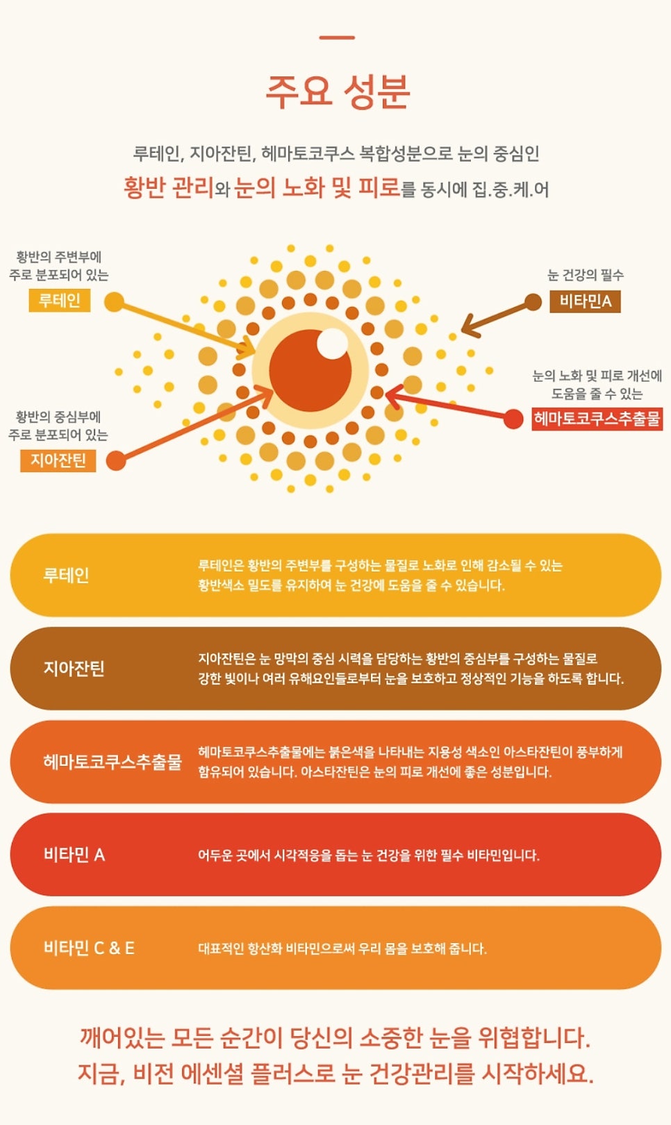 유니플러스비전 이미지
