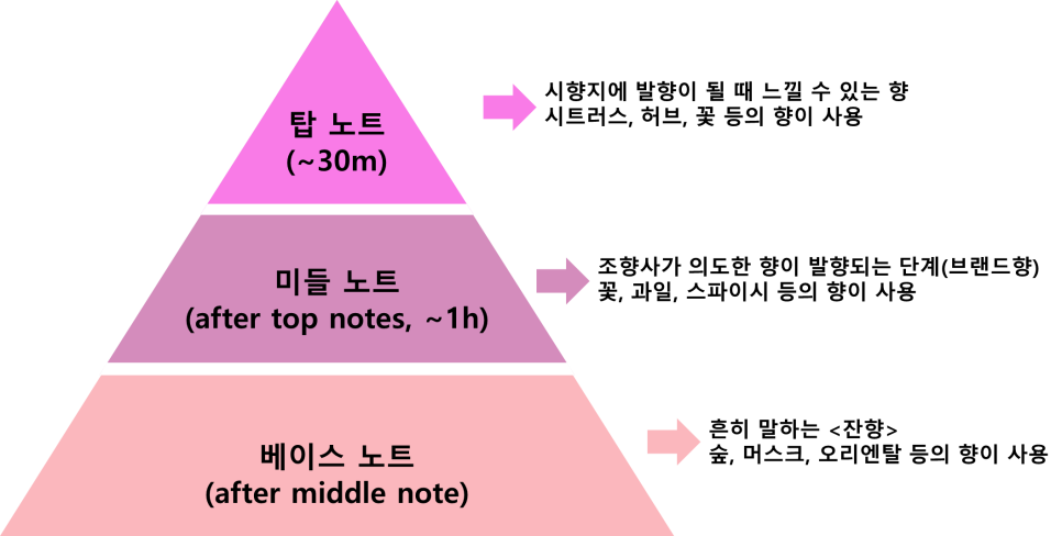 탑노트 이미지