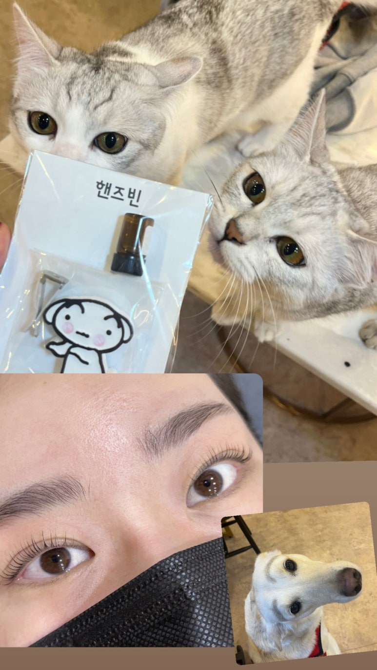 비앤뷰티 이미지