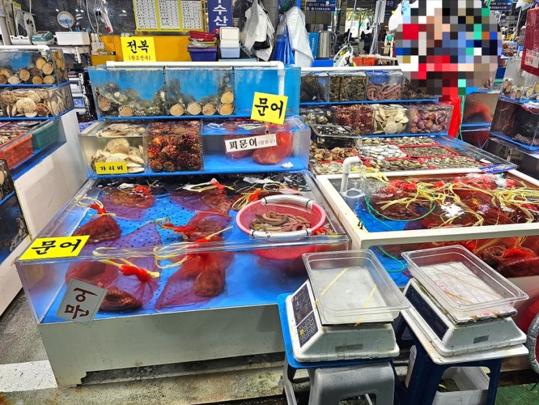 장수농수산물 이미지