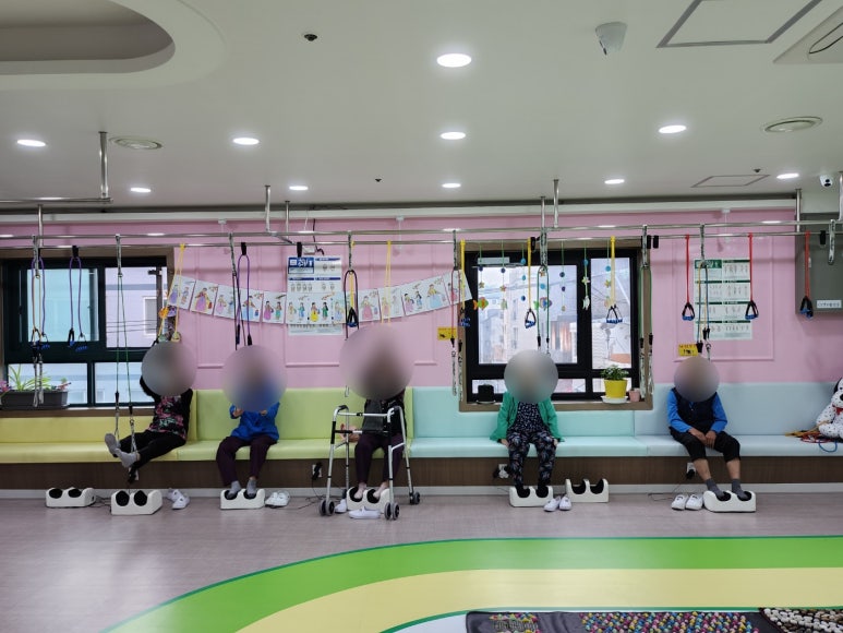 데이지데이 이미지