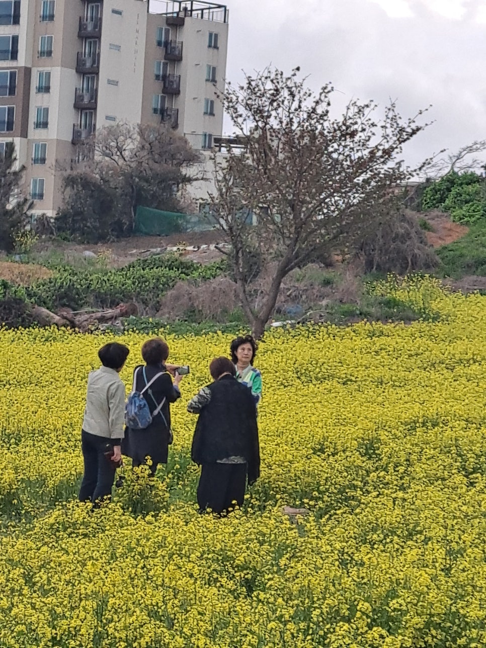 효성항공여행사 이미지