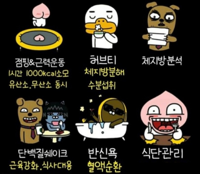 핫점핑다이어트 이미지
