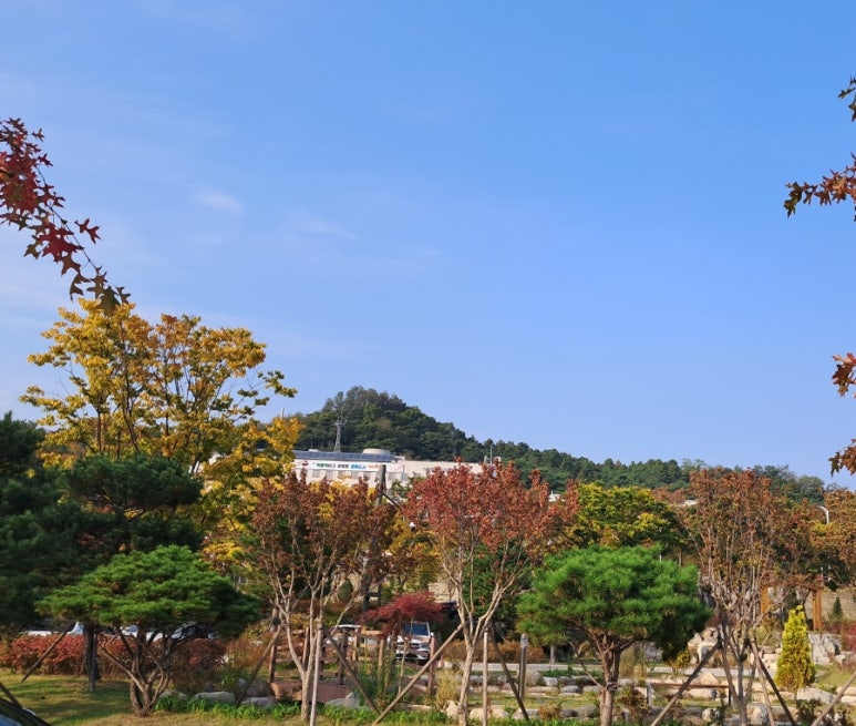 (주)뜨레 이미지