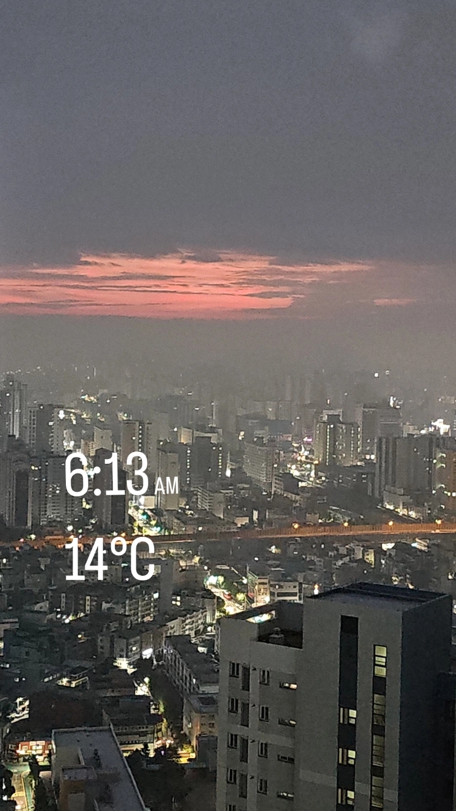 영랑꽈배기 이미지
