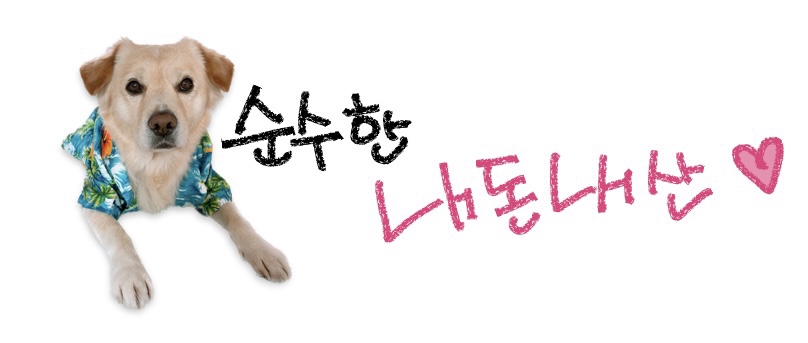 공물소 이미지