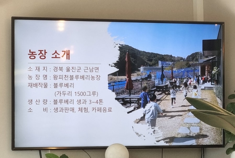 왕피천블루베리농원;까페 이미지