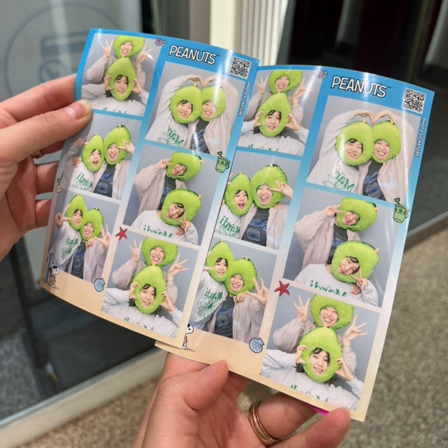 아보카도즈 이미지