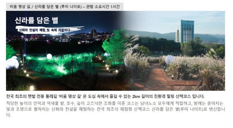루미 컴퍼니 이미지