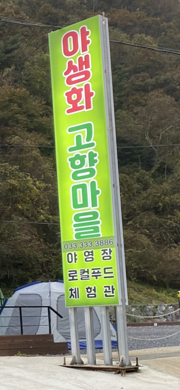 600마지기가는길야영장 이미지