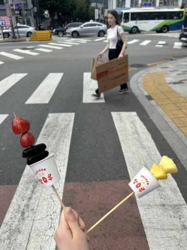한가묘 이미지