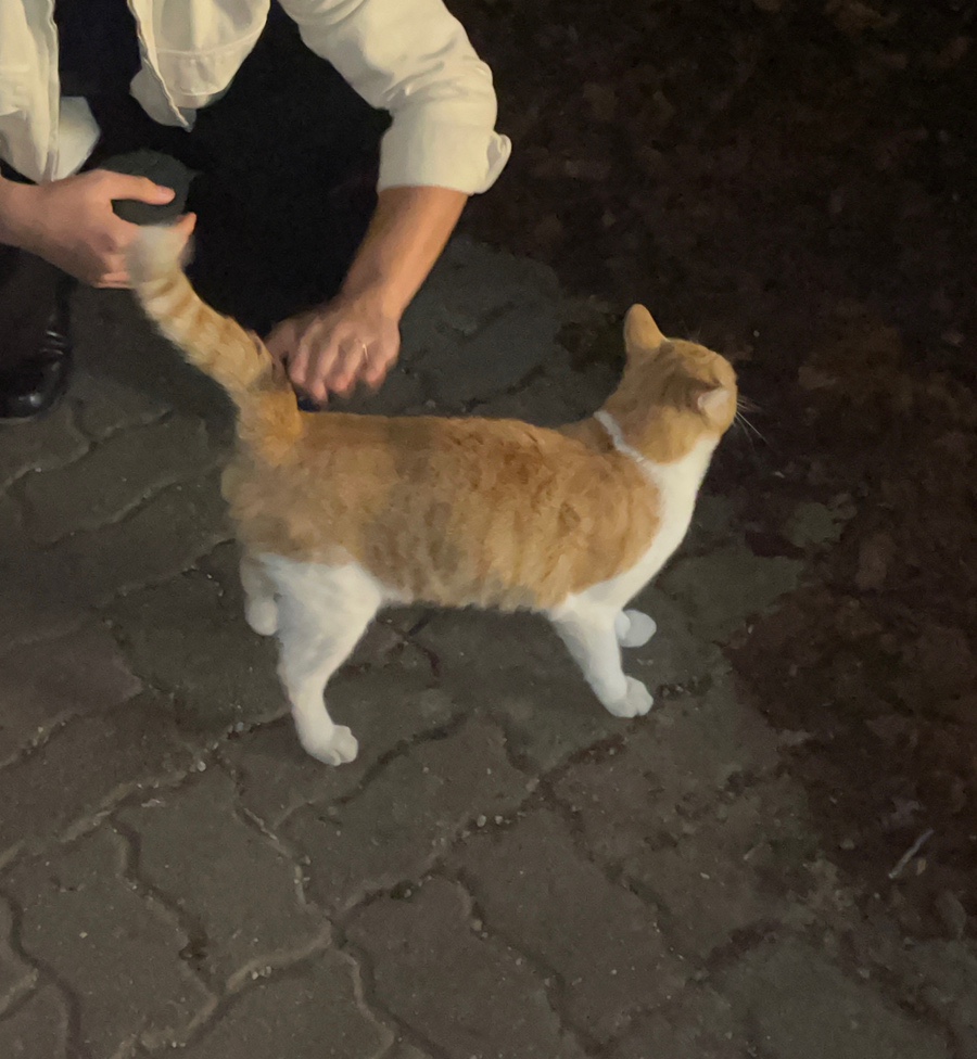 PC방가자 이미지