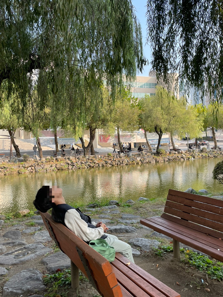 그린카타운 이미지