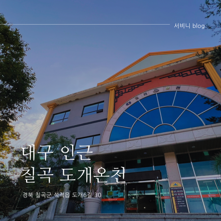 도개스파 이미지