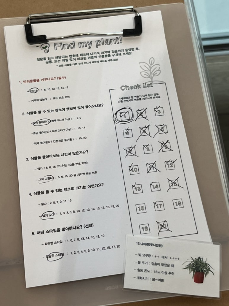 연진화분 이미지