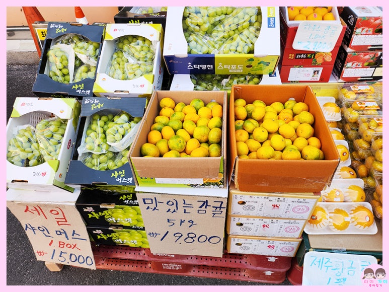 우리청과야채 이미지