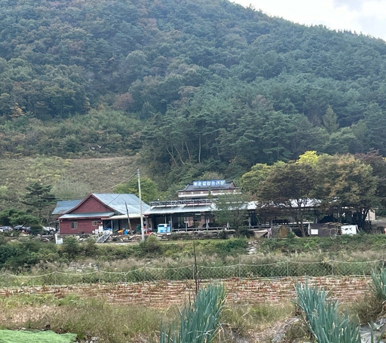 운일암송어횟집 이미지