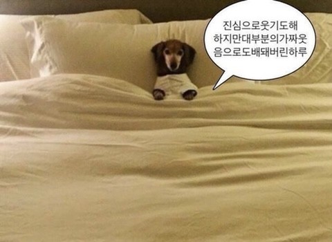 해인상회 이미지