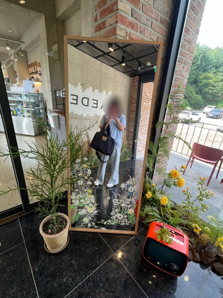 해듬꽃 이미지