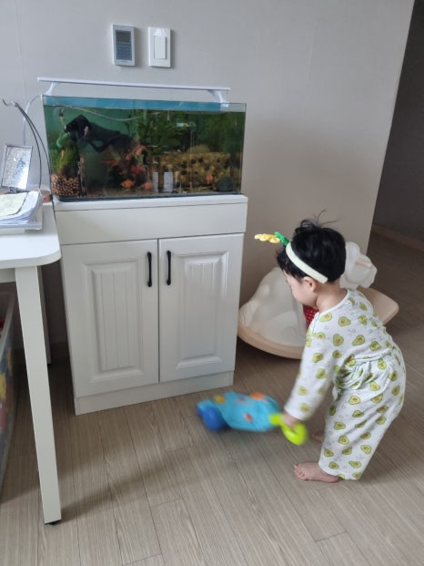 샐러두잇 이미지