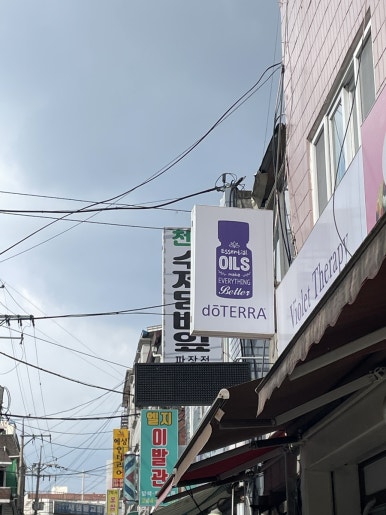 천일청과 이미지