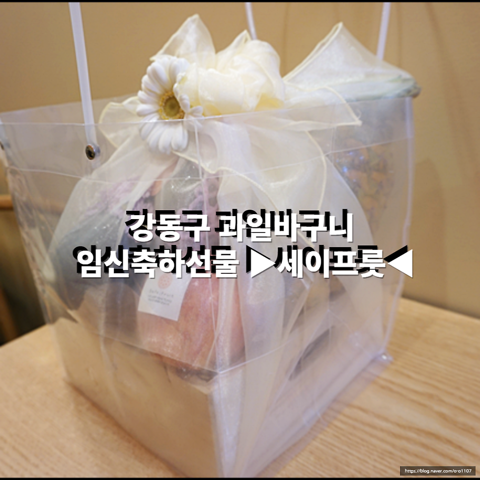 세이프룻 이미지