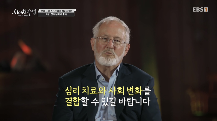 네스시스템 이미지