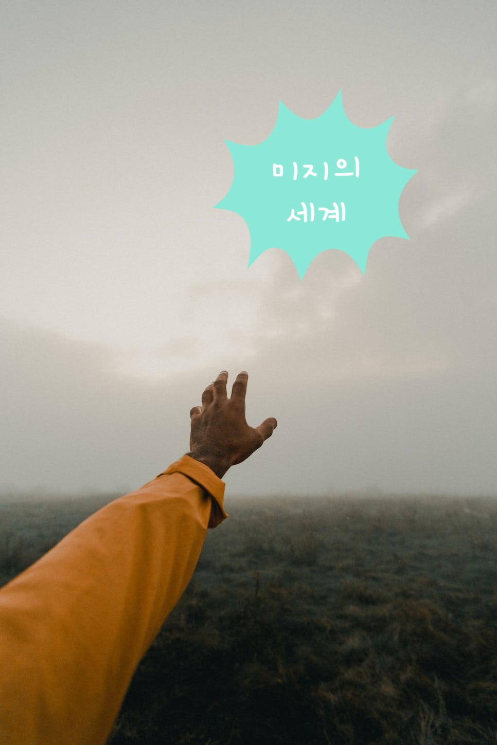 단디디자인 이미지