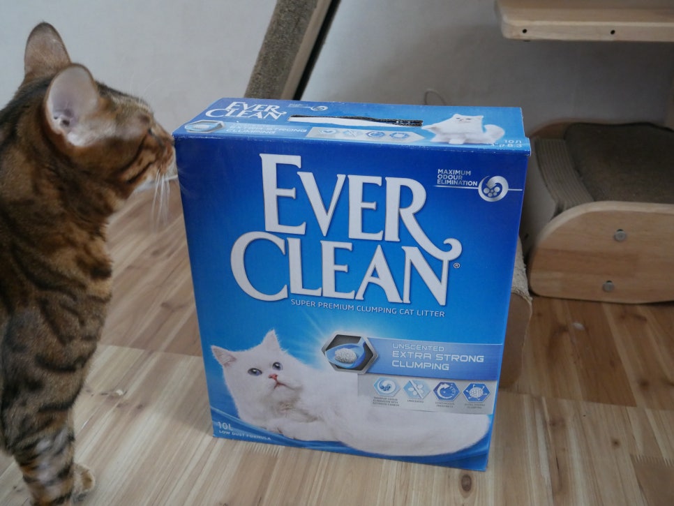 강한크린 이미지
