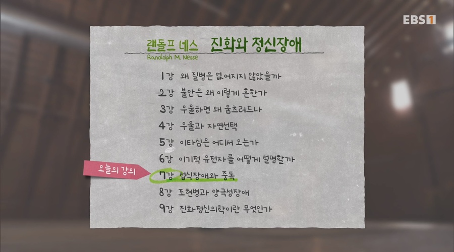 네스시스템 이미지