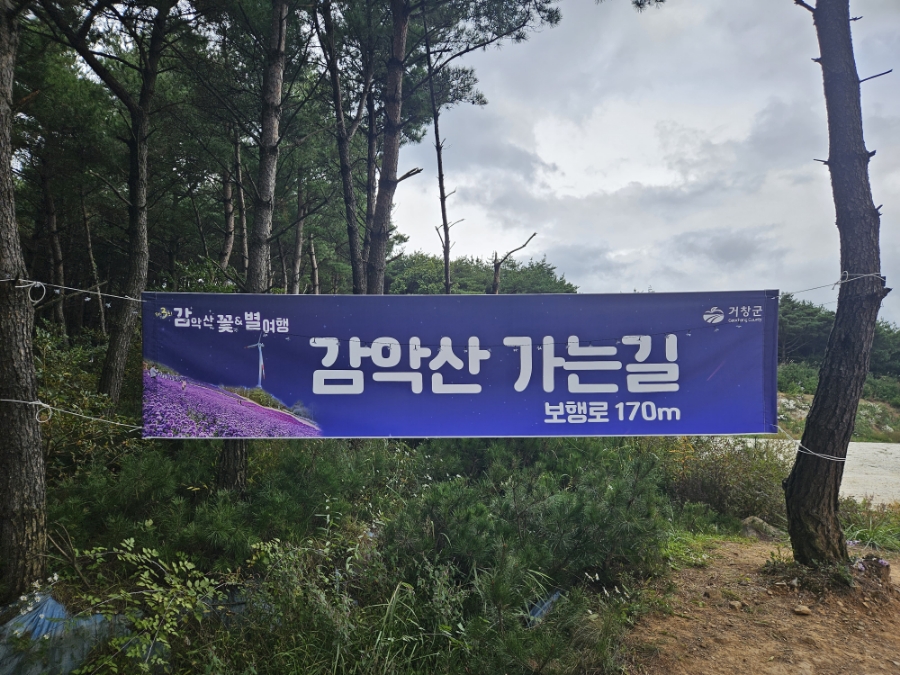 전&튀김휴게 이미지