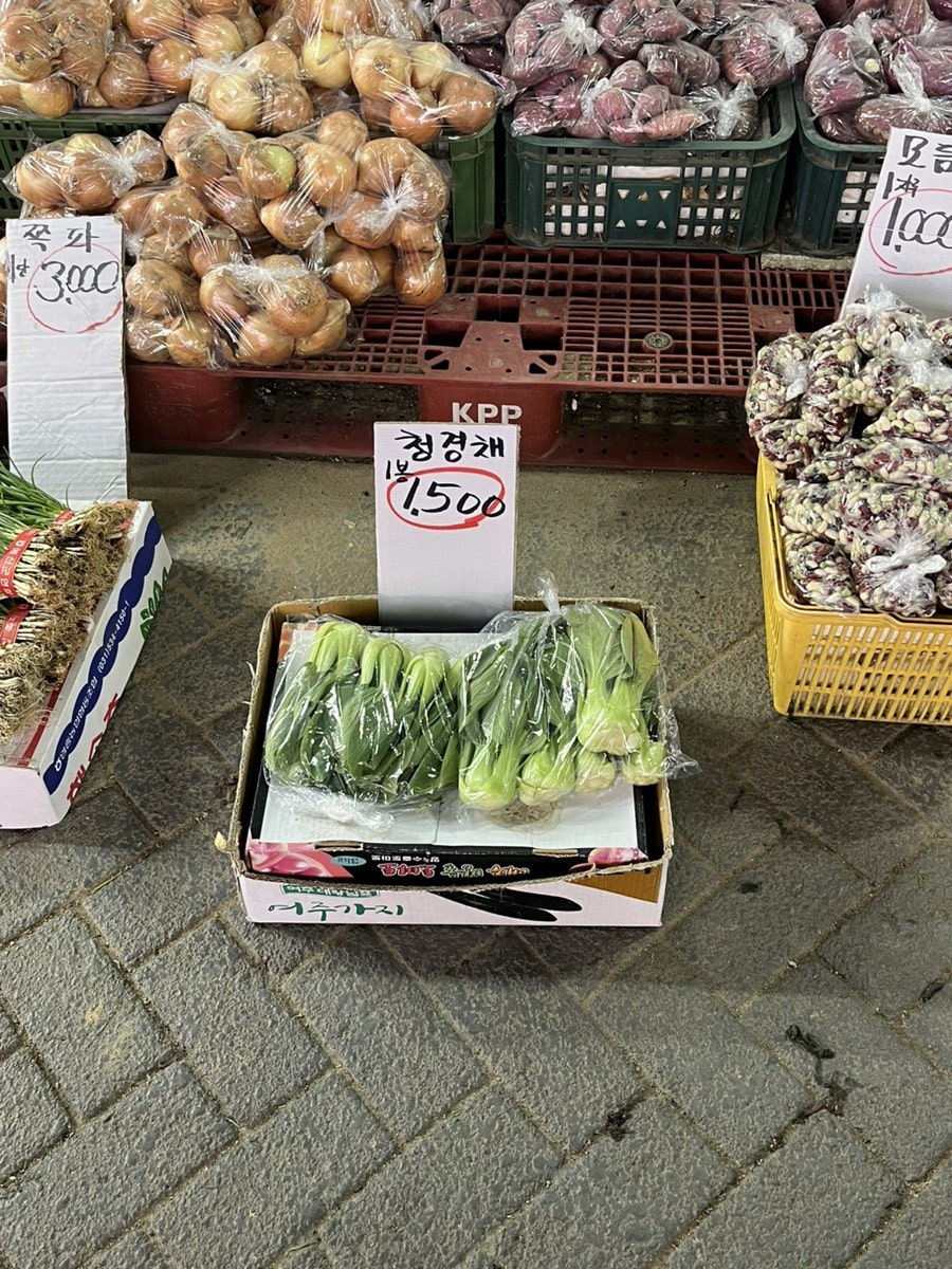희망청과 이미지