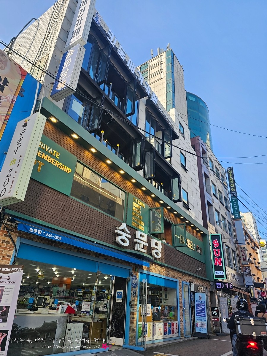 킹독 이미지
