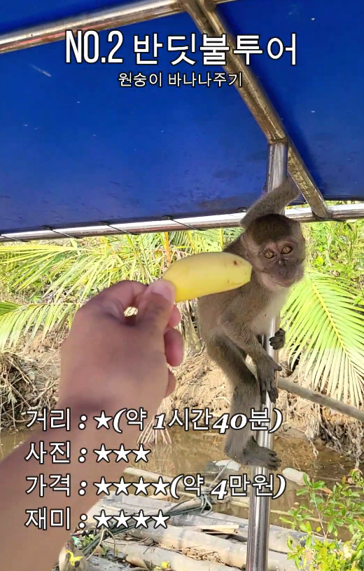 (주)바나나투어 이미지